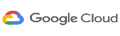 Google cloud partner | Wolfav